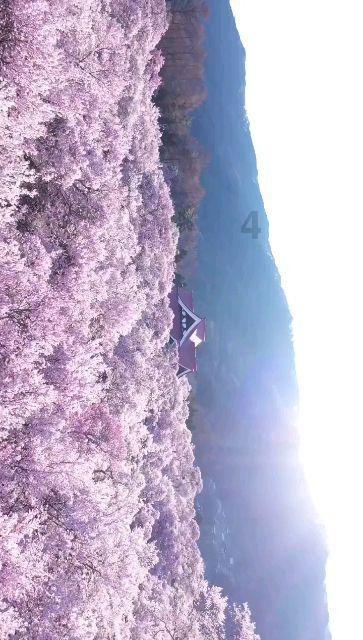 迫不得已要“喝酒”?4个秘诀告诉你,这样喝不伤身,早知道早好