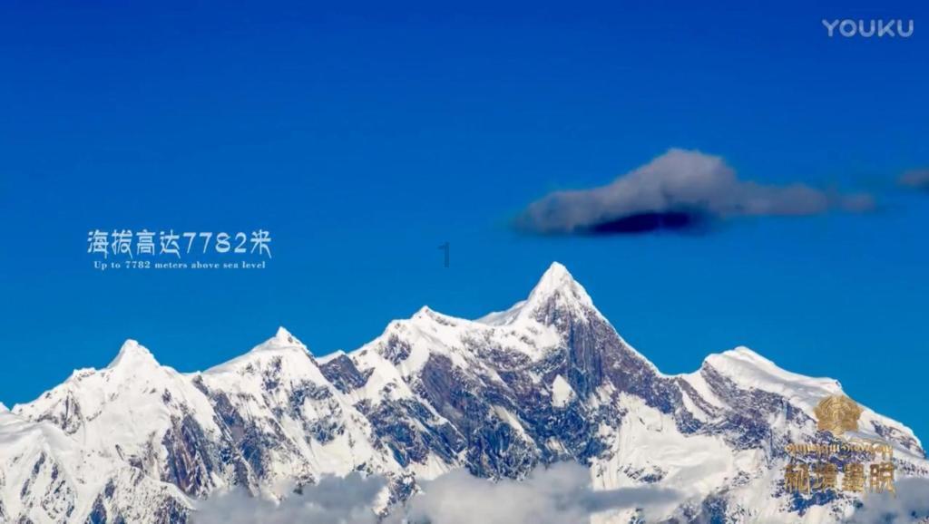 客户确诊恶性肿瘤，富德生命人寿威海中心支公司快速赔付20万余元