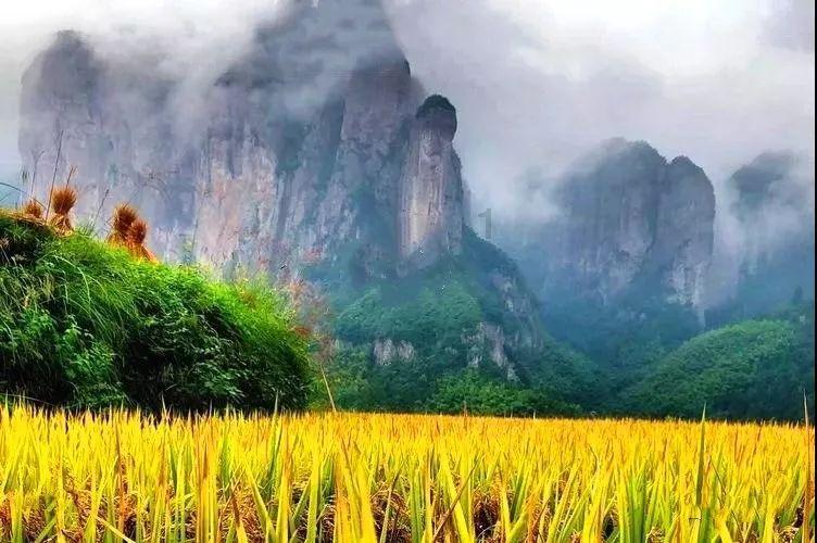 中方派出高规格代表团抵达达沃斯,美方代表团担心存在感被减少